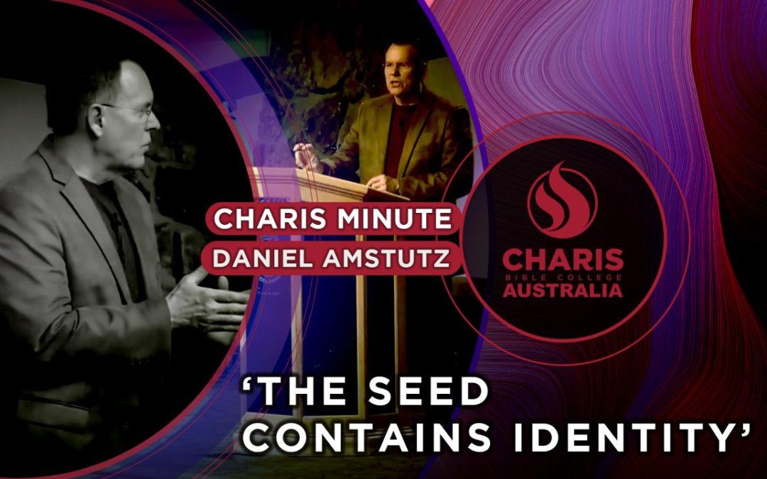 The Seed Contains Identity