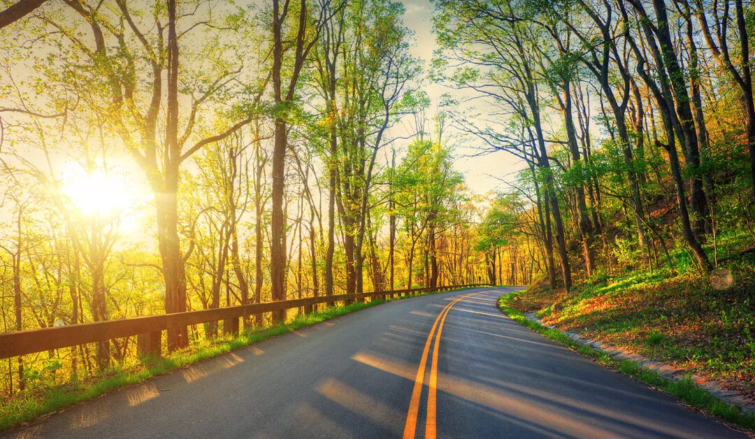 6 Powerful Principles to Get You on the Road to Abundance