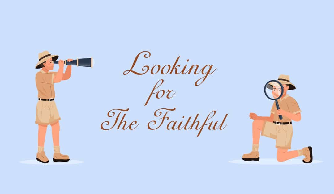 Looking for the Faithful
