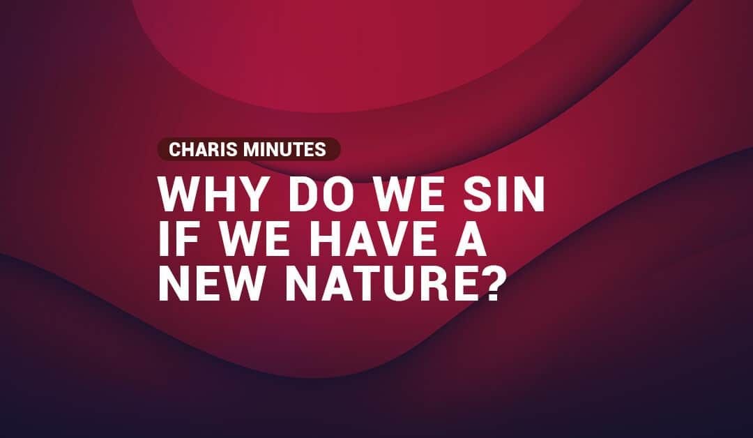 Why do we sin if we have a new nature?